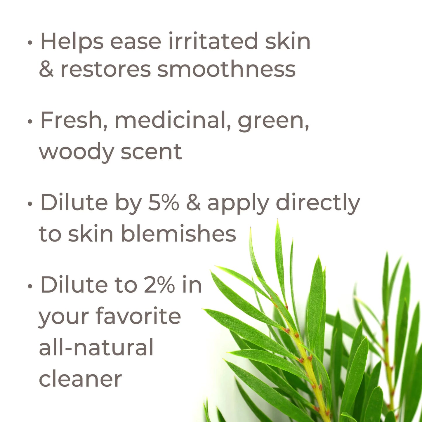 Tea Tree Essential Oil